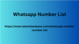 Whatsapp Number List